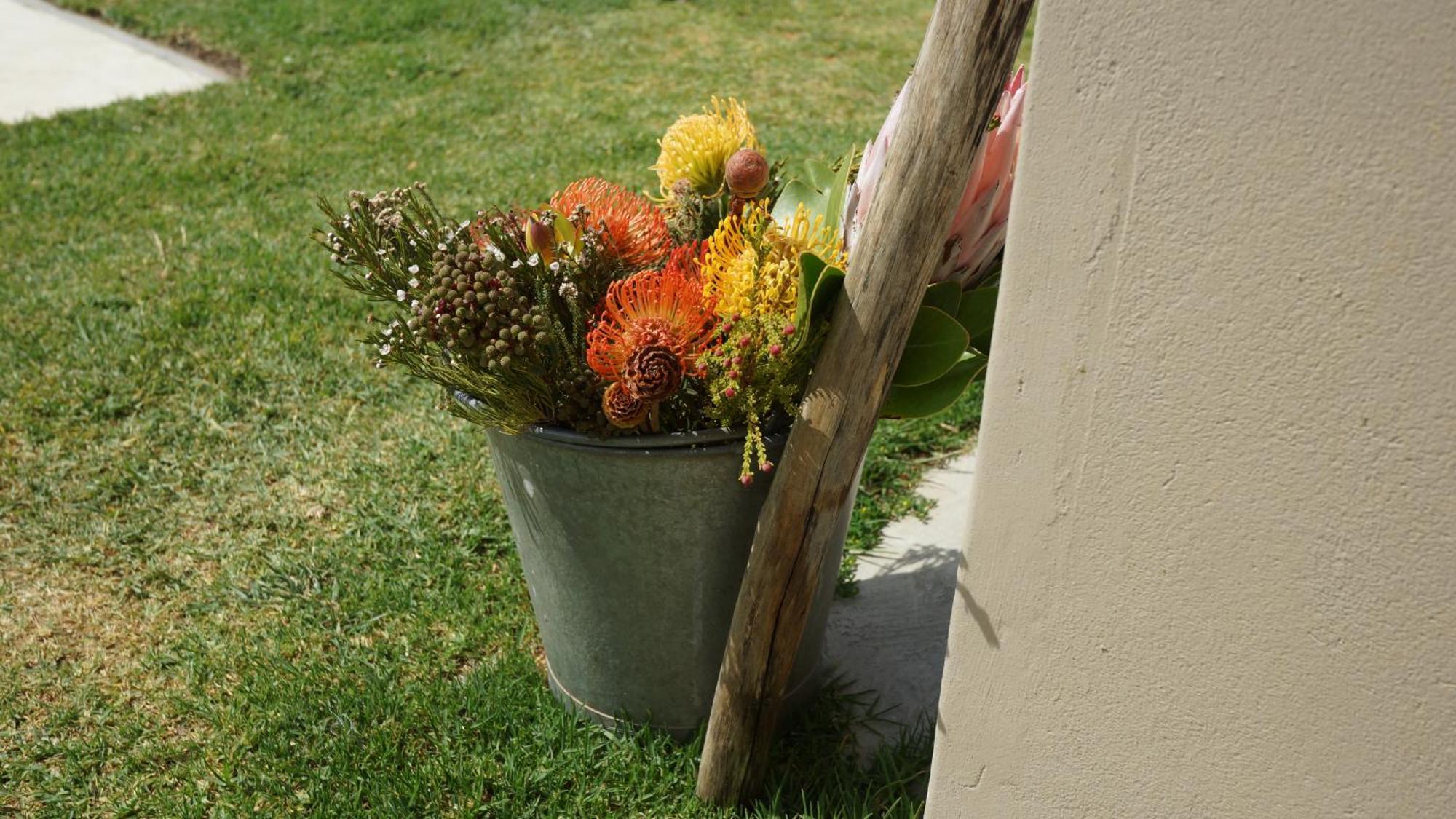 Stellar Overberg Travellers Lodge Napier Esterno foto