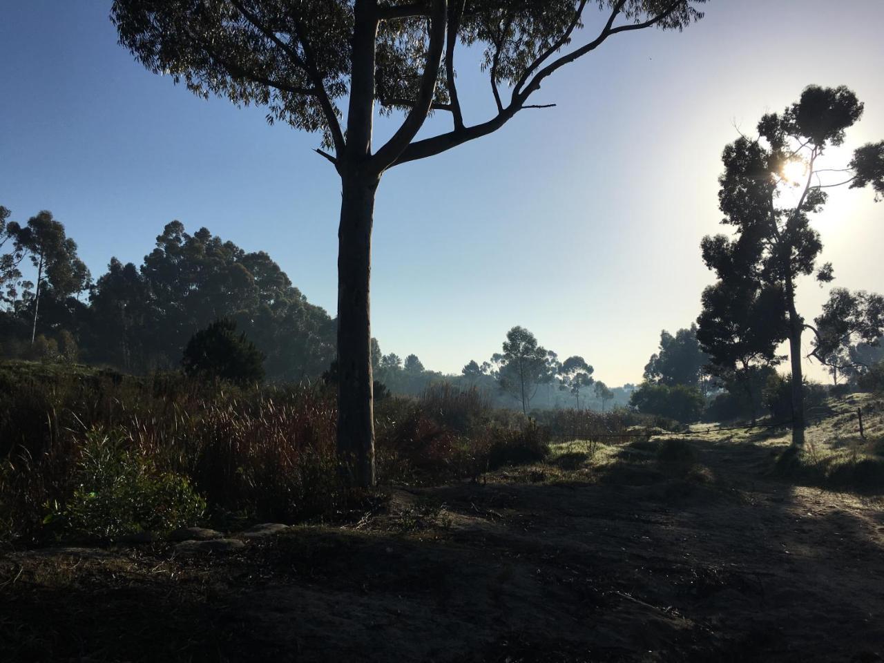 Stellar Overberg Travellers Lodge Napier Esterno foto
