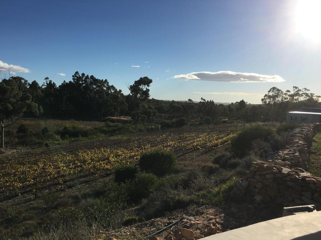 Stellar Overberg Travellers Lodge Napier Esterno foto