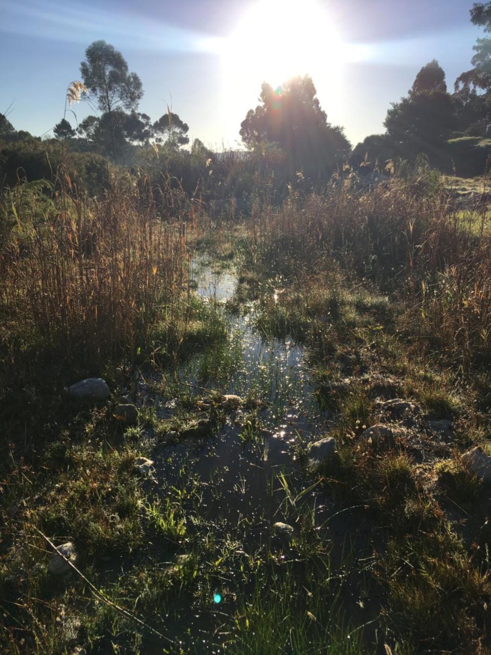 Stellar Overberg Travellers Lodge Napier Esterno foto